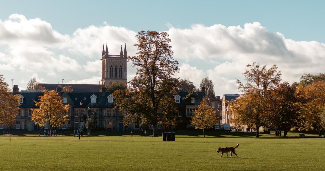 Stunning 1Br - Super Central- Peaceful Area - Lower Ground Apartment Cambridge  Extérieur photo