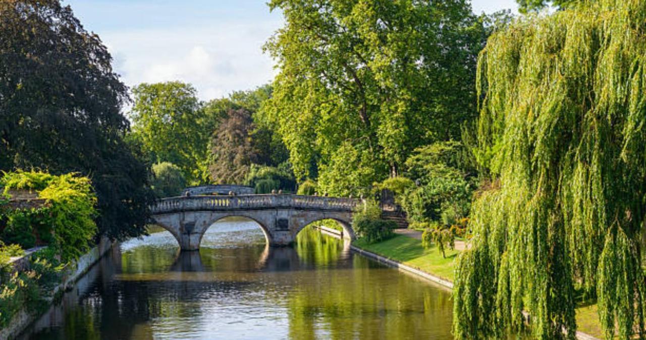 Stunning 1Br - Super Central- Peaceful Area - Lower Ground Apartment Cambridge  Extérieur photo